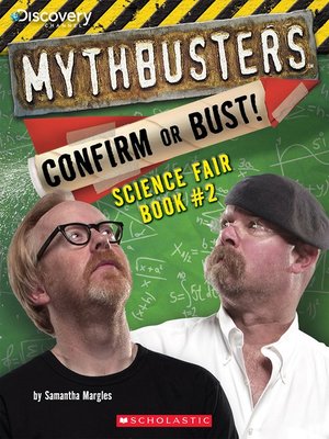 cover image of Confirm or Bust!